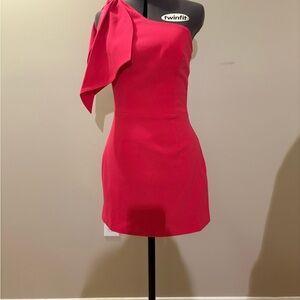 Dress the Population One-Shoulder Pink Dress